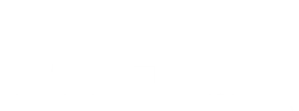 Logo Palido GmbH &ndash; Corporate Design f&uuml;r Energieberatung von Chalupi